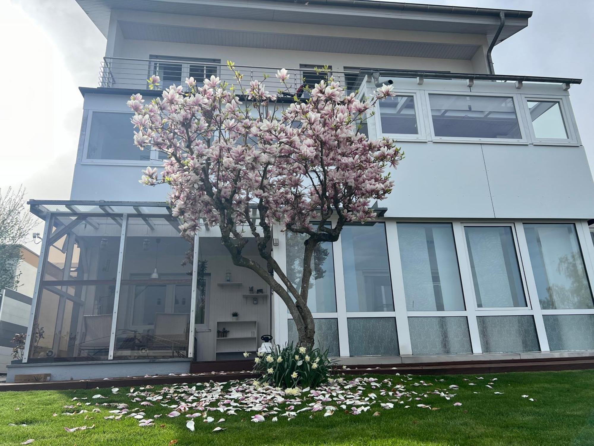 Ferienwohnung Schwarzwald Lodge Schömberg 外观 照片